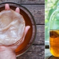Kombucha i pritisak: prednosti i štete od hipertenzije